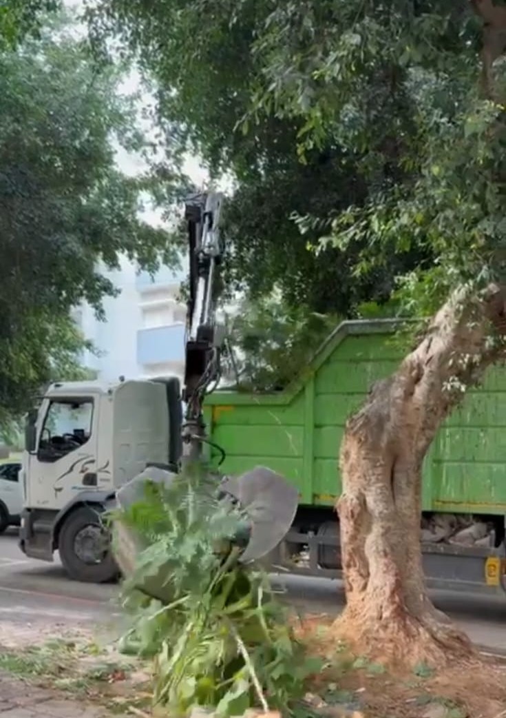 כפר סבא משדרגת את מערך ניקיון העיר: פינוי גזם ופסולת מוצקה במועדים חדשים החל מינואר