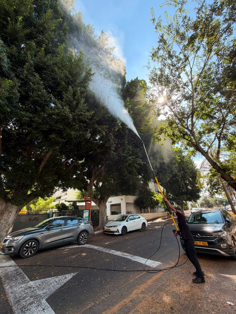 עיריית כפר סבא מבצעת מבצע קיץ: טיפול בעצי הפיקוס לצד תגבור מערך ניקיון העיר